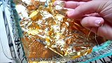 小姐姐将100层金箔粘满全身，金光闪闪太耀眼，真是有钱任性