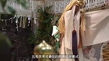 这是我见过最阴间的奥运会,盘点日本东京奥运会的几大吐槽点
