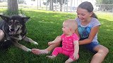 姐姐陪萌娃坐在草地上，萌娃看着大狗，开心地大笑着！