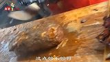 搞笑视频：当年要是我的英语老师长这样，上课眨眼睛都是荒废青春