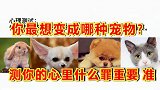 心理测试：你想变成什么动物，测测在你的心里什么最重要？
