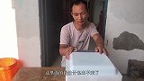 农村三哥网购鸡蛋搞孵化，结果不太令人满意，分析原因哪出错了！