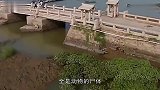 中国“最血腥”的古桥，用动物尸体加固桥基，简直是黑科技