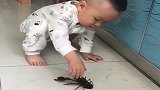 都说初生牛犊不怕虎，眼前这一幕，熊孩子这胆子也太大了！