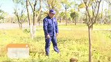 五小布红火蚁小课堂，快来学习如何应对
