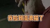 我家也终于有小女孩了，以后小白和元宝就是哥哥