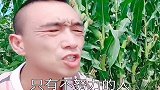 农村人说大实话，一段简单的话语，道尽了人生的无奈！