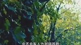 没想到四字弟弟演技也这么好