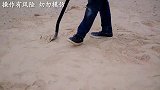 曼妥思加汽水发生了什么？把土地公公都干吐了