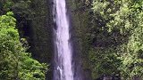 外来物种入侵实在是太可怕了