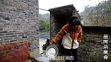 苗大姐偷来红太狠锅盖，一盆肉做来吃，自己吃掉了一半