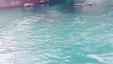 青山绿水，空气清新，这真的好好！