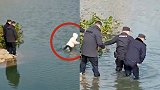 安徽一女子在警察面前跳河溺亡 当地成立调查组：涉事警员已停职