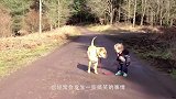 2岁的小男孩出门遛狗，萌娃：你站着别动，我去试试水有多深
