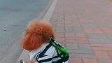 谁家的小泰迪丢了，已经在路边坐了一上午没等到主人，太可怜了