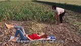 大哥，你这一泼差点给我笑坏了！