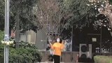 听说这年头出门扔个垃圾就相当于“出国旅游”了？