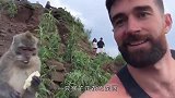 男子喂食路边猴子，竟直接被淹没其中，场面太惊险了