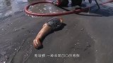 海星要怎么吃老渔民刀棍“夹击”，才勉强切开，最后却没了食欲！