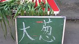 傻小子卖大葱不会算账，俩美女贪便宜连续买三天，第三天吃大亏了
