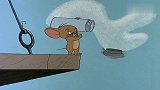 猫咪真逗，太有意思了，下秒真搞笑