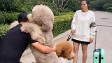 你给我等着，看我回去收拾你