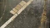 游戏玩着玩着下雨了，才发现谷子还没收呢，扎心了