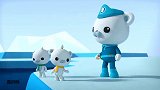 海底小纵队： 紧急出动救援被困冰山的海象幼崽