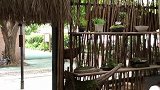 自家的角落里