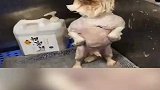 这个家到底谁说了算