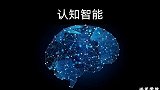 认知智能情感学—项目总结X
