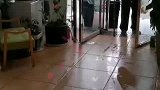浪漫不分年龄！91岁大爷给90岁老伴买玫瑰花为其庆生