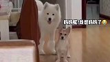 独自带俩娃的姥姥