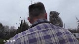大叔带小奶猫出来散步，满眼都是宠爱