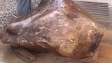 村民家的传家宝，没想到是这么大的玉石