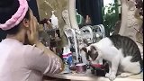 猫：主人我先洗把脸，等下给我涂点润肤霜！