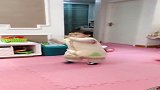 宝宝在家里，穿这一身衣服跳舞，看完不许笑