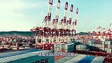 冯小刚力挺恢复繁体字，遭著名学者易中天怒批这四个字谁会写