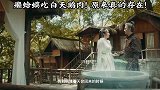 癞蛤蟆吃白天鹅肉！原来真的存在