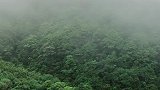 雾太大了，飞上去简直就是仙境