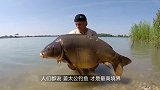 男子以蝉为鱼饵，不到1小时，已经收获10条四鳃鲈