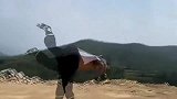这就是传说中的“醉拳”，被小哥耍的出神入化，让人叹为观止！