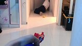 当遇孩子遇到危险时可能这就是父亲的本能