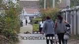 博主多次“以身饲蚊”爆火，拍下蚊子吸血全过程