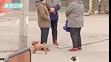 神配音：表妹果然懂我，爬后山要带上闺蜜