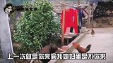 我中午是吃毒蘑菇了吧