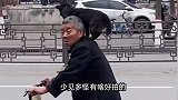搞笑配音：狗界司机哈士奇已上线，快上车不然一会我主人回来了