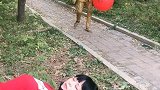 哎呀妈呀，什么东西把我吓醒了？