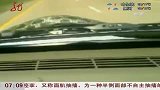 行车离奇遭遇 途中挡风玻璃突现蟒蛇