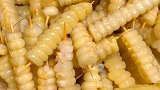 烧烤玉米粒超好吃